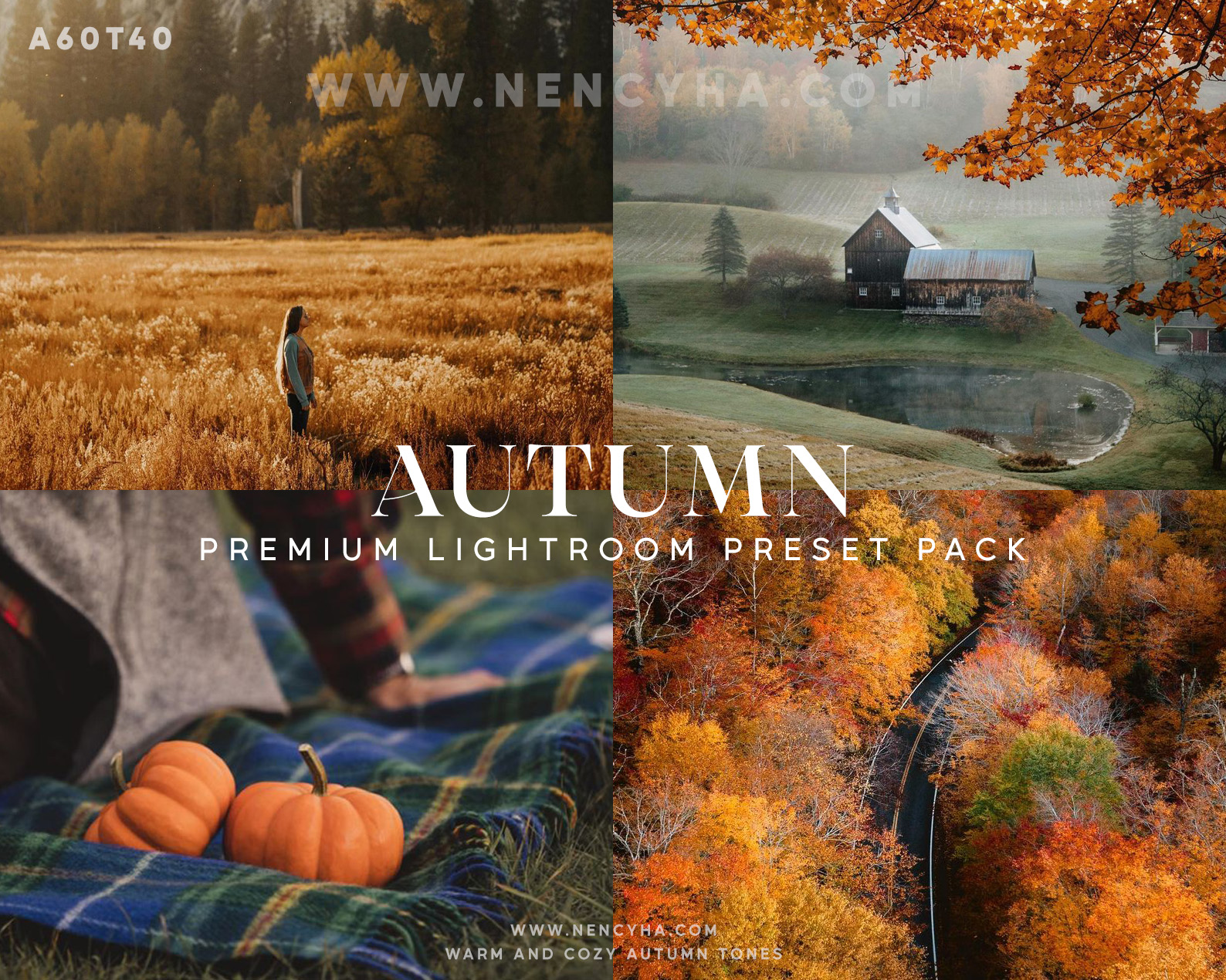 Gói Preset Tone Màu Ấm Áp, Vàng và Rực Rỡ Của Mùa Thu – Fall Lightroom Presets (xmp/acr) A60T40 1 A60T40