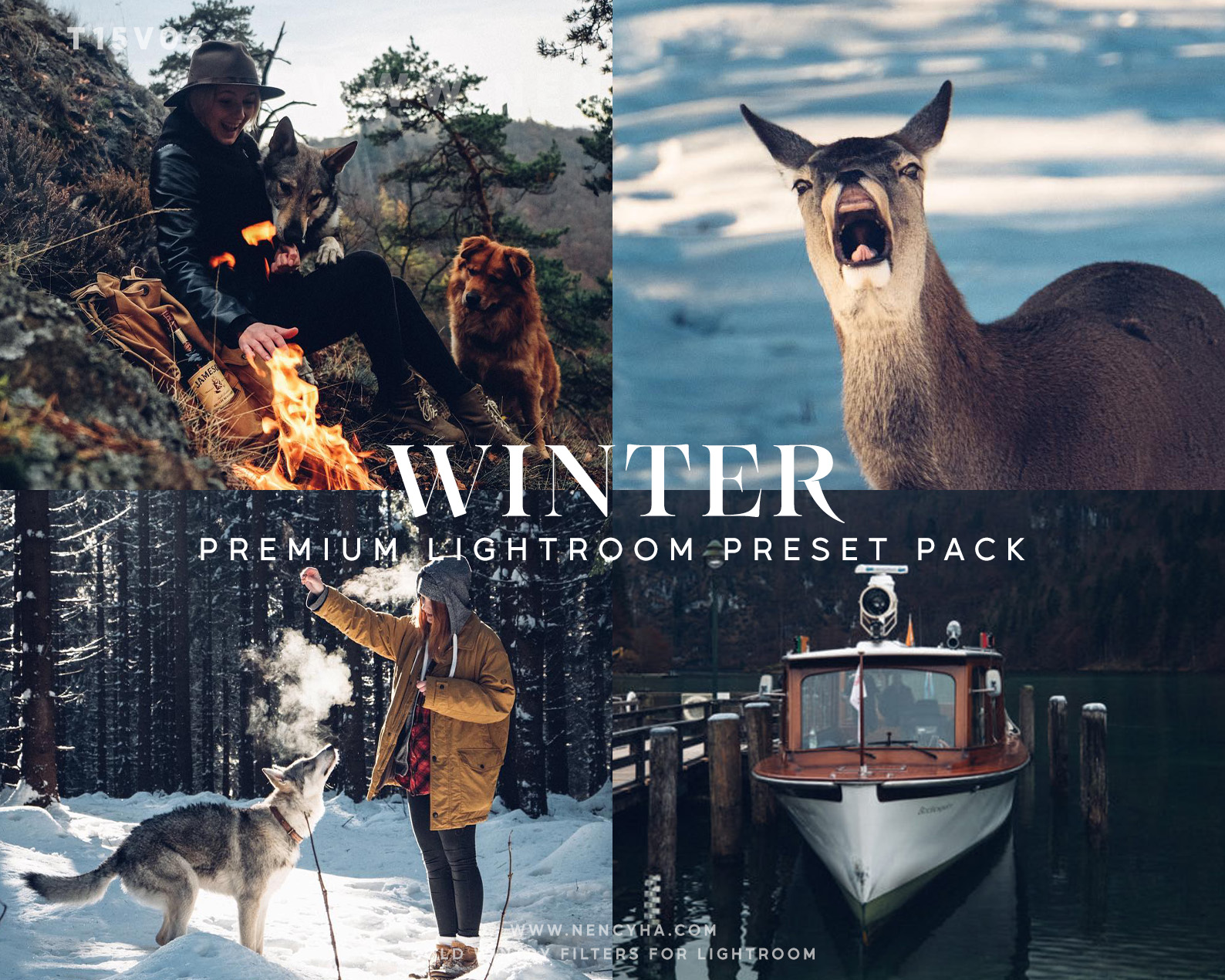 Gói presets được thiết kế riêng cho các cảnh mùa đông và ảnh sương mù (xmp/acr, lrtemplate) T15V06 1 T15V06