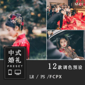 12 tone mau danh rieng cho anh cuoi phong su cuoi tone mau trung quoc lr ps pr ae fcpx