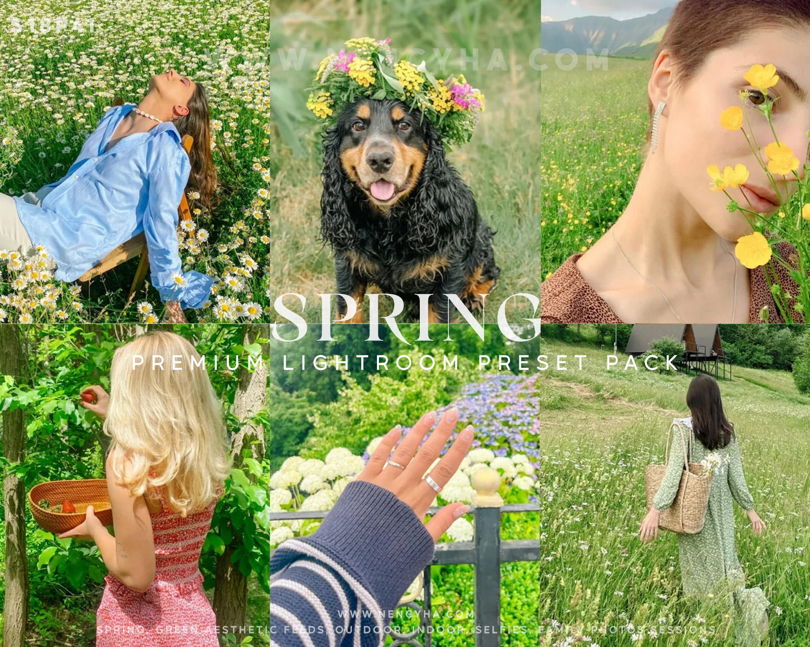 Preset Mùa Xuân Tone Màu Tự Nhiên Dành Cho Ảnh Chụp Tết – Dreamy Greens, Vibrant Color, Spring Aesthetic Presets (xmp/acr, lr, dng) S18P41 1 Spring presets 2025 v1
