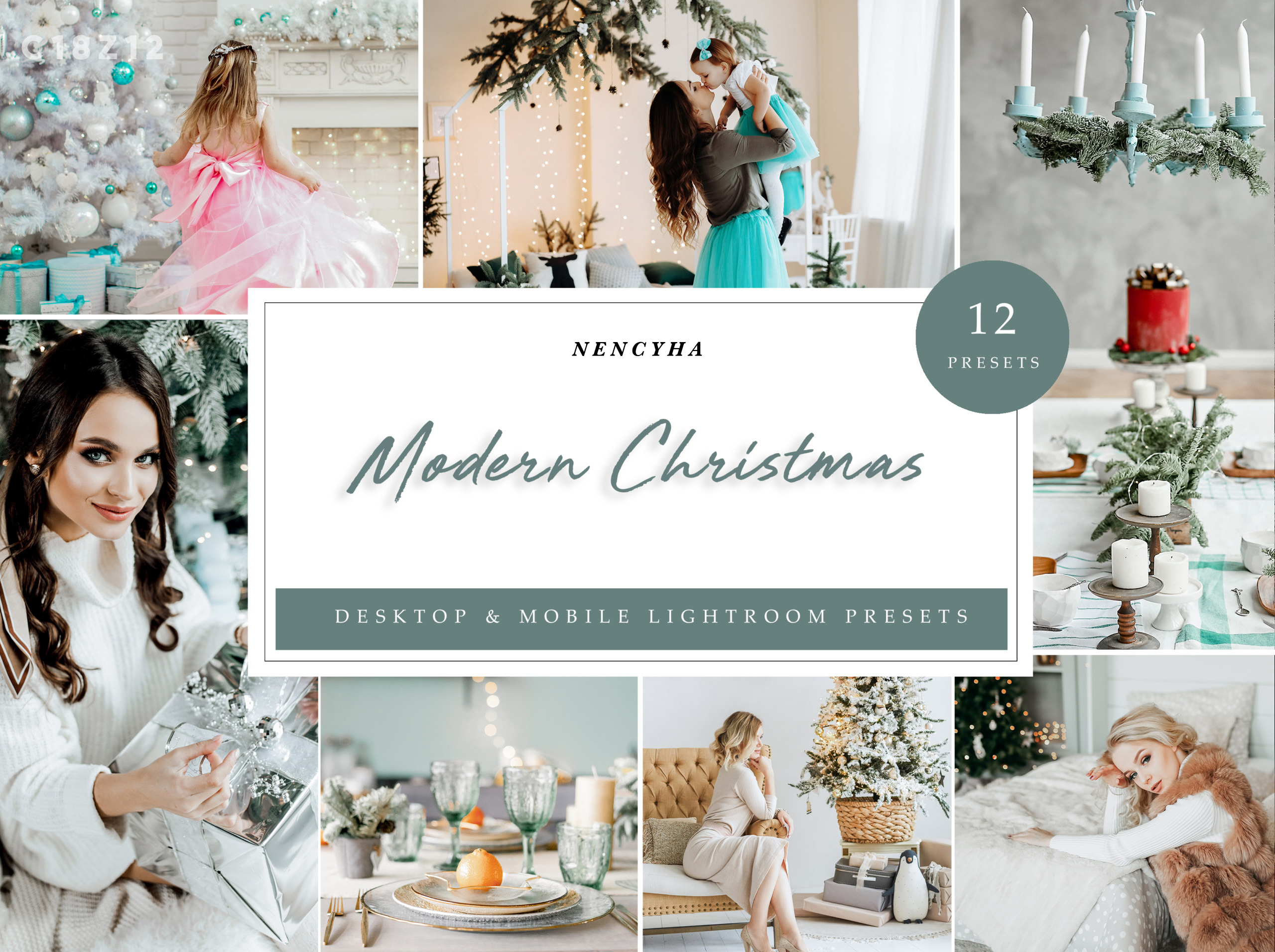 12 x Modern Christmas Presets, Interior Presets, Cold Presets (xmp/acr, dng, lr) C18Z12