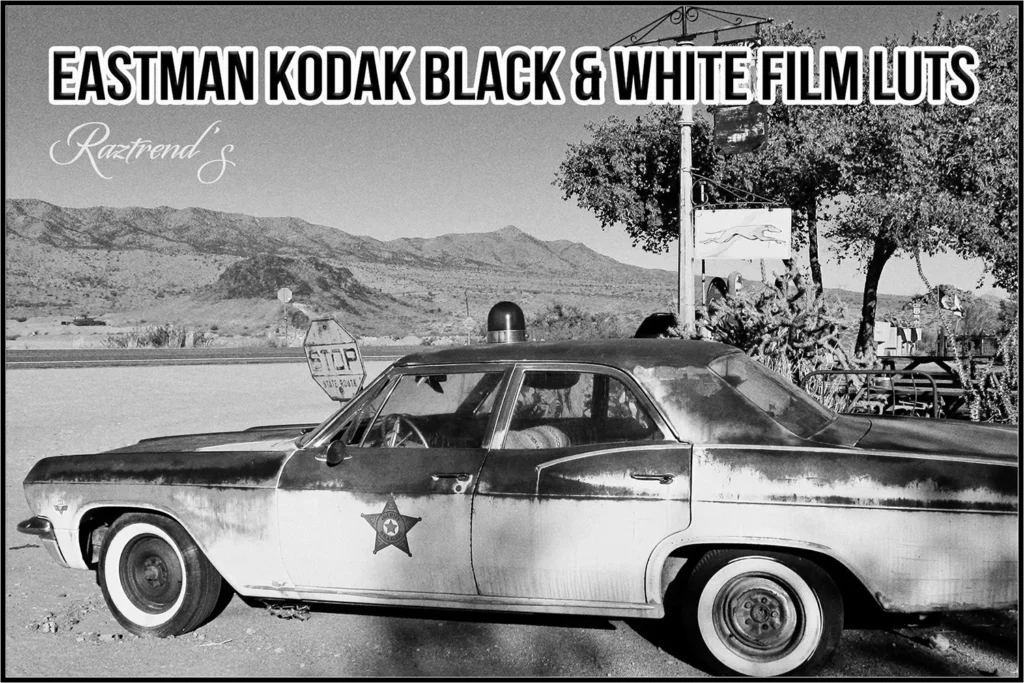Eastman Kodak Black and White Films LUTs Free Download 1 nencyha.com eastman kodak black and white films luts 2