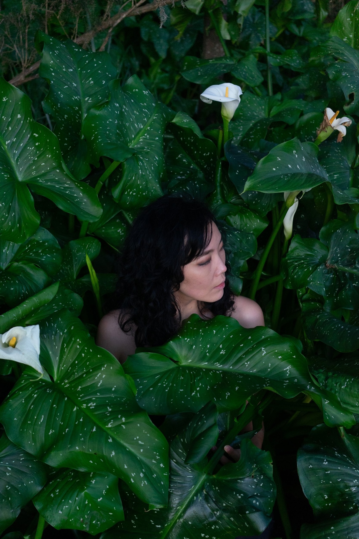 Archipelago Chroma – Bộ Preset Mang Sắc Màu Tinh Khiết Rực Rỡ và Sống Động (xmp/acr) C40R04 5 archipelago chroma bo preset mang sac mau tinh khiet ruc ro va song dong 3