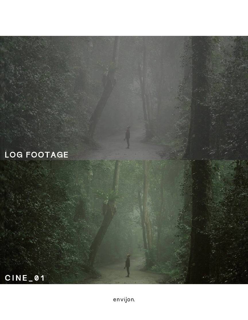 Cinematic Video LUTs – Một giải pháp đơn giản để mang lại màu sắc điện ảnh nhất quán cho các dự án của bạn (cube) V30N84 2 nencyha.com cinematic video luts 0