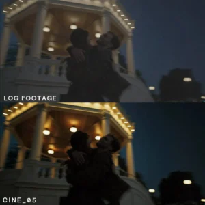 Cinematic Video LUTs – Một giải pháp đơn giản để mang lại màu sắc điện ảnh nhất quán cho các dự án của bạn (cube) V30N84 12 nencyha.com cinematic video luts 4