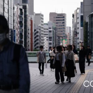 nencyha.com faizal westcott analog 2024 7