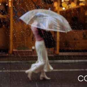 nencyha.com faizal westcott analog 2024 8