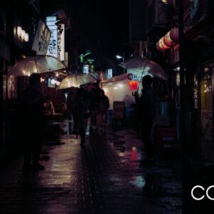 nencyha.com faizal westcott analog 2024 9