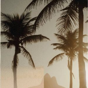 Real Film Photo Pack – Overlay Real 35mm Film Scans Pack – Tầm nhìn cổ điển qua góc nhìn hiện đại (png) V30O62 18 nencyha.com real film photo pack 8