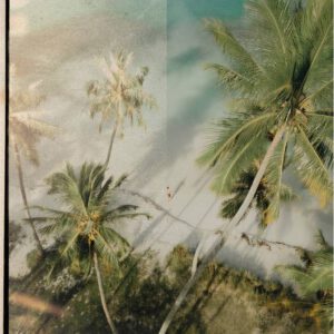 Real Film Photo Pack – Overlay Real 35mm Film Scans Pack – Tầm nhìn cổ điển qua góc nhìn hiện đại (png) V30O62 17 nencyha.com real film photo pack 9