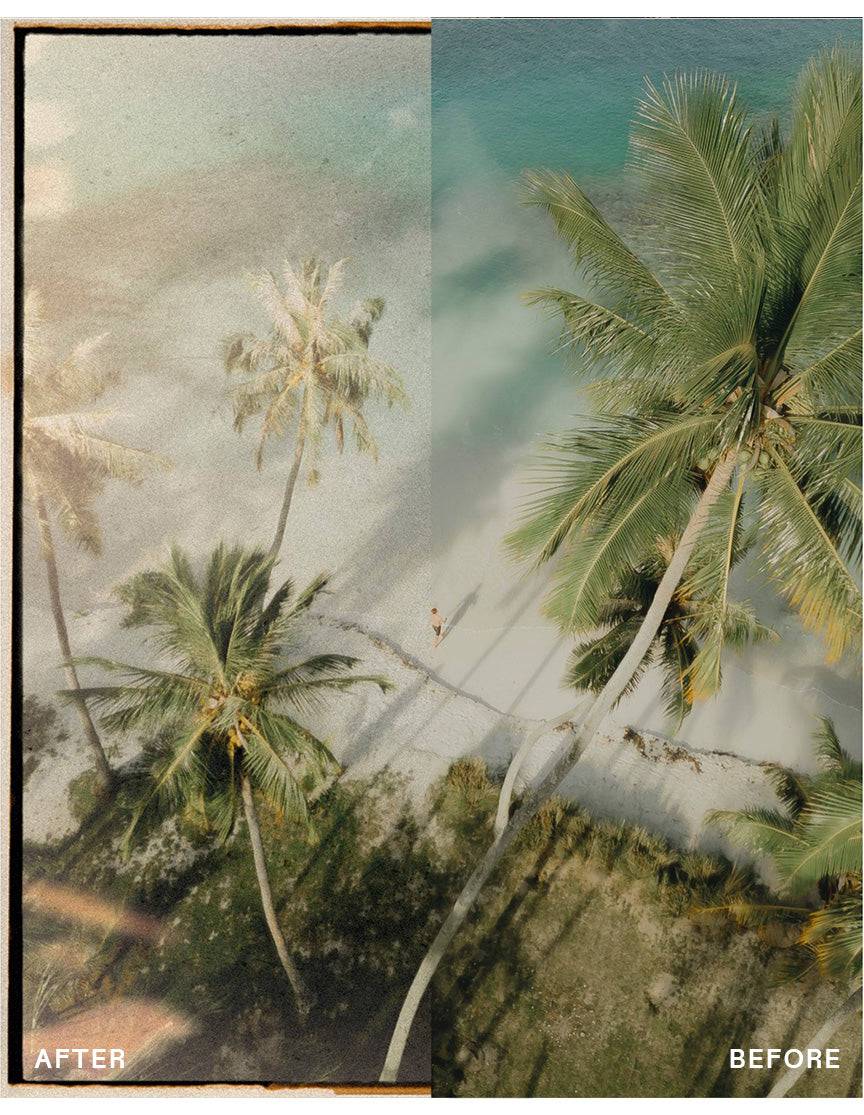 Real Film Photo Pack – Overlay Real 35mm Film Scans Pack – Tầm nhìn cổ điển qua góc nhìn hiện đại (png) V30O62 8 nencyha.com real film photo pack 9