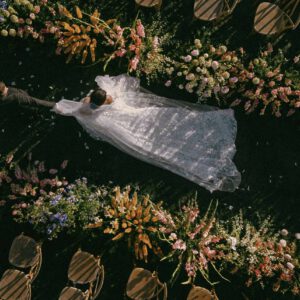 nencyha.com the editorial edit master collection 3