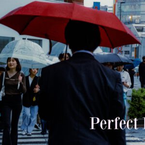 CineFilm - Cinematic Presets – Gói Preset Mang Phong Cách Phim Điện Ảnh Bắt Mắt (xmp/acr, dng) B44M59 11 PerfectBlue