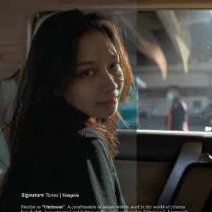 cinematic signature tones goi preset 09 tone mau mang den cai nhin dien anh an tuong 5