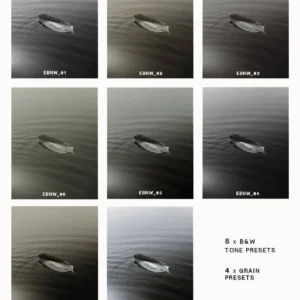 envijon black white mobile photo filters nencyha.com 16