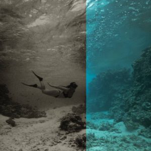 envijon black white mobile photo filters nencyha.com 5