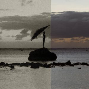 envijon black white mobile photo filters nencyha.com 9