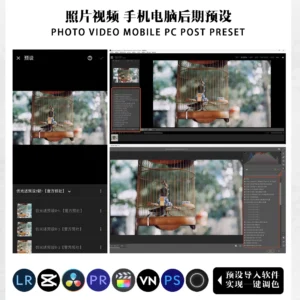 goi preset danh cho anh mua xuan tet phong cach nhat ban 3