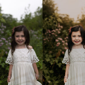 lemon and lace studios ai lemon twist goi preset hon 100 preset co dien song dong 19