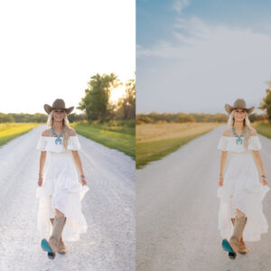 lemon and lace studios ai lemon twist goi preset hon 100 preset co dien song dong 4