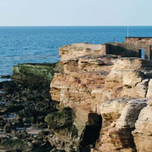 nencyha.com digistock portra 400 for capture one 9