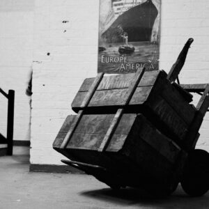 Digistock - Tri-X 400 for Capture One – Một bản mô phỏng sâu sắc của một trong những loại phim đen trắng được yêu thích nhất (costylepack) T41X20 15 nencyha.com digistock trix 400 for c1 1