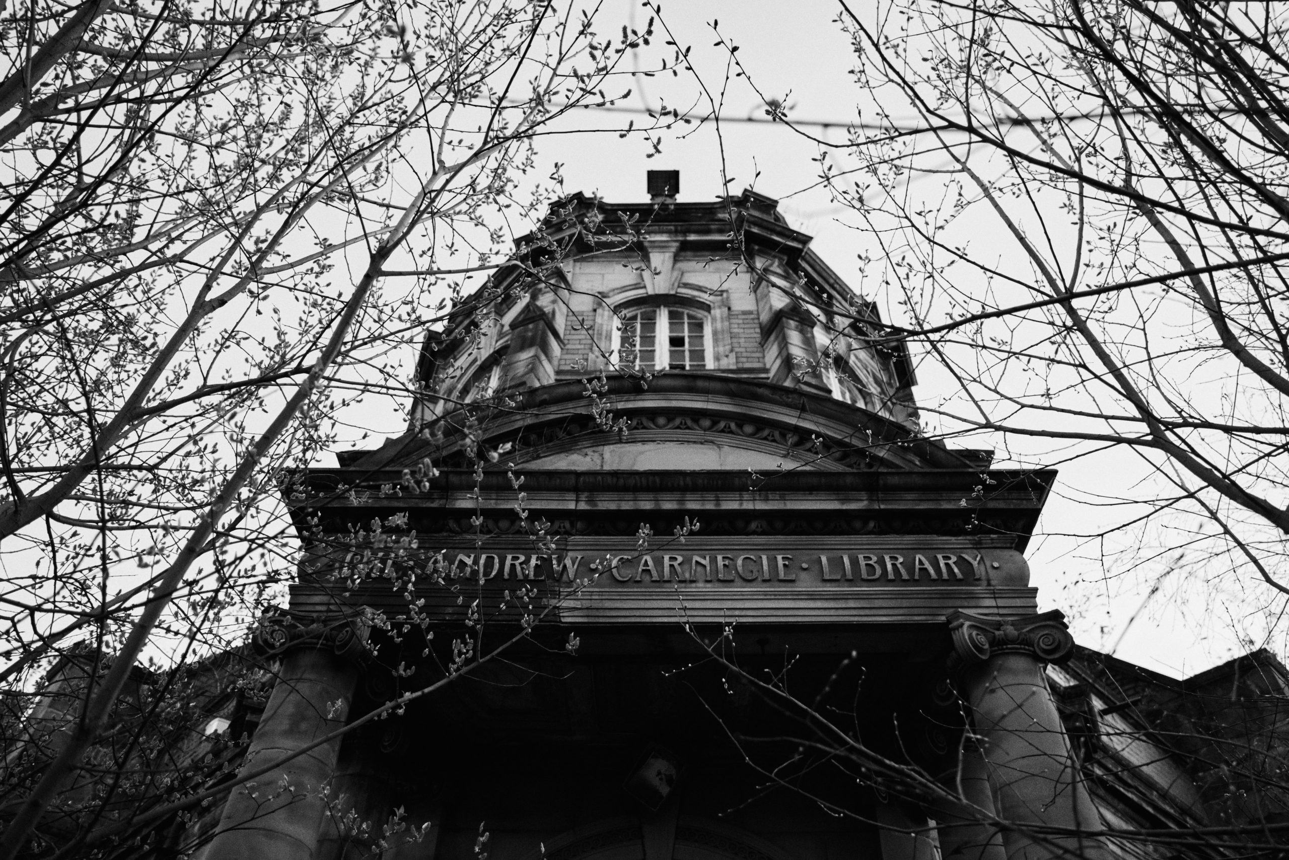 Digistock - Tri-X 400 for Capture One – Một bản mô phỏng sâu sắc của một trong những loại phim đen trắng được yêu thích nhất (costylepack) T41X20 4 nencyha.com digistock trix 400 for c1 2