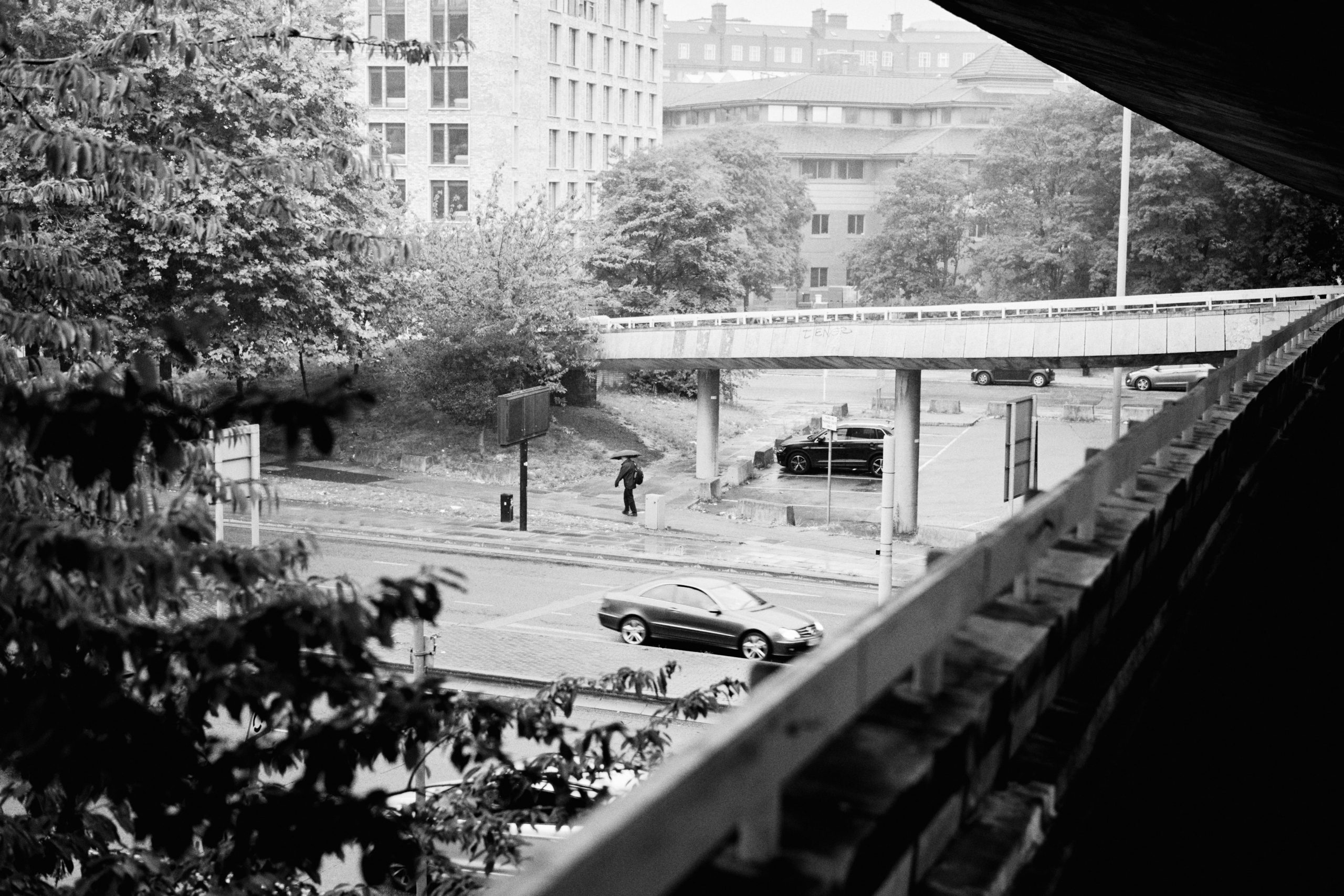 Digistock - Tri-X 400 for Capture One – Một bản mô phỏng sâu sắc của một trong những loại phim đen trắng được yêu thích nhất (costylepack) T41X20 8 nencyha.com digistock trix 400 for c1 6