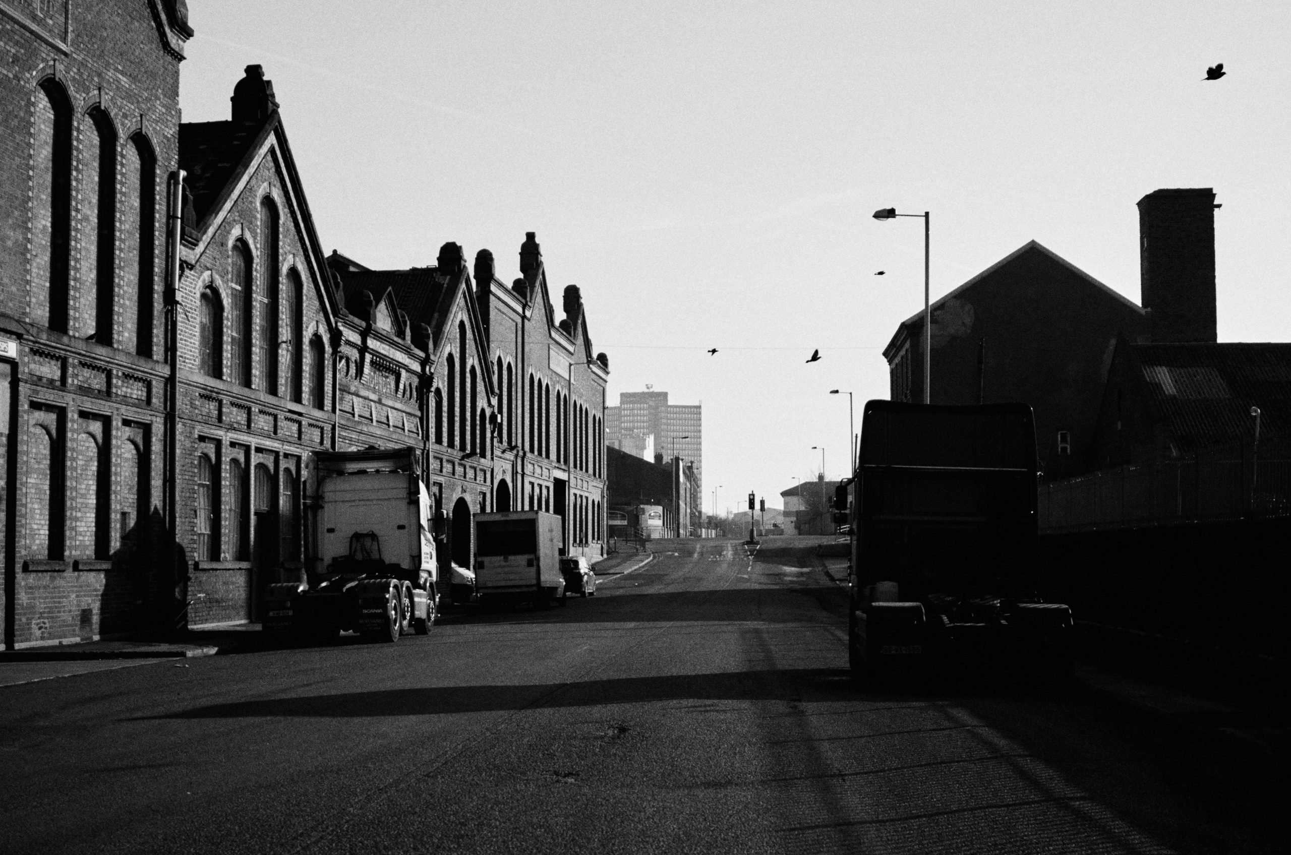 Digistock - Tri-X 400 for Capture One – Một bản mô phỏng sâu sắc của một trong những loại phim đen trắng được yêu thích nhất (costylepack) T41X20 11 nencyha.com digistock trix 400 for c1 9