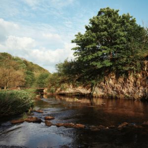 Digistock - Gold 200 Advanced for Capture One – Film Emulation for Capture One – Phong Cách Cổ Điển Toàn Diện Của Gold 200 Advanced (costyle) C38P46 22 nencyha.com gold 200 advanced for capture one 10