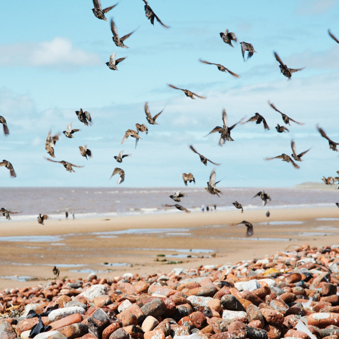 Digistock - Gold 200 Advanced for Capture One – Film Emulation for Capture One – Phong Cách Cổ Điển Toàn Diện Của Gold 200 Advanced (costyle) C38P46 11 nencyha.com gold 200 advanced for capture one 11