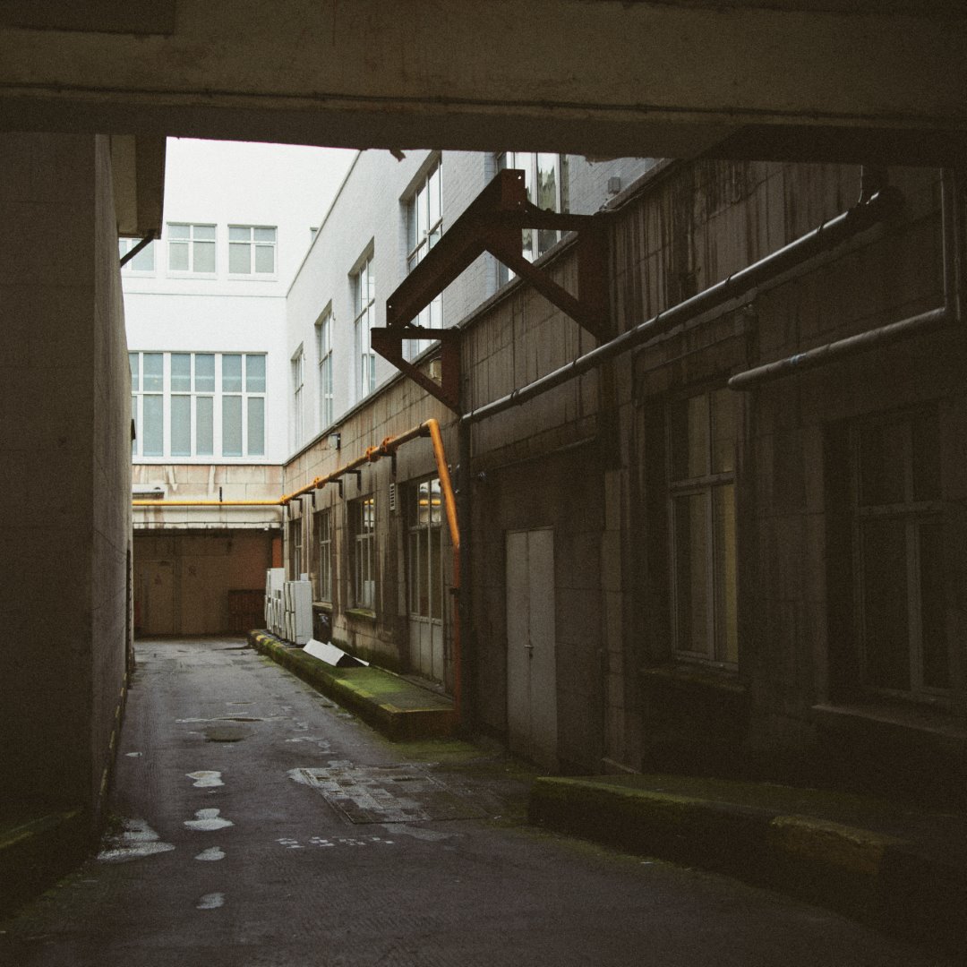 Digistock - Gold 200 Advanced for Capture One – Film Emulation for Capture One – Phong Cách Cổ Điển Toàn Diện Của Gold 200 Advanced (costyle) C38P46 8 nencyha.com gold 200 advanced for capture one 7