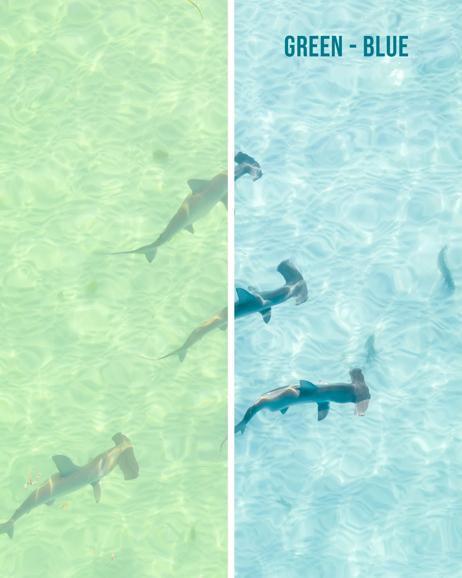 Jaxon Roberts - Coastal Blues Preset Pack – Gói preset 15 preset thiết kế riêng cho nhiếp ảnh đại dương - du lịch và bãi biển (xmp/acr, dng) T40H95 7 nencyha.com jaxon roberts coastal blues preset pack 7