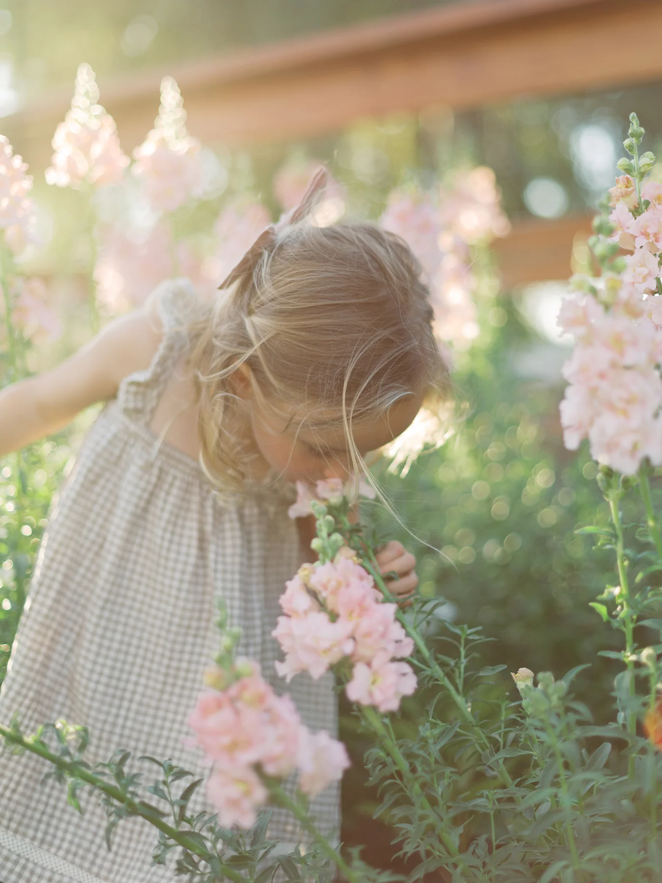 The Archetype Process – The Green Pack I – Bộ sưu tập các Profile mô phỏng phim được xây dựng từ nhũ tương Fujifilm tương phản cao (xmp/acr/Profiles) G40B50 2 nencyha.com the archetype process the green pack i 0