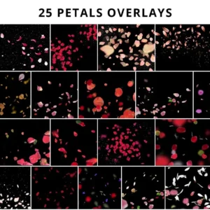 PhotoWhoa-580+ Premium Heart Overlays – Gói 580+ Lớp phủ cao cấp (png/jpg) B43V79 40 photowhoa 580 premium heart overlays nencyha.com 10