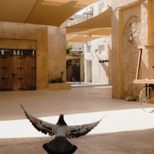 roman fox snaps by foxy 2024 presets 13