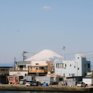 roman fox snaps by foxy 2024 presets 3