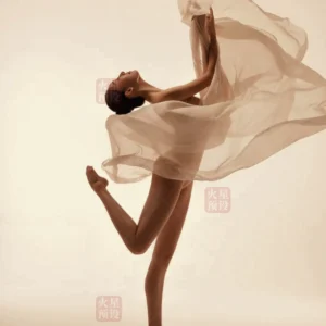 Bộ Preset 46 Tone Màu Thời Trang Cổ Điển Khiêu Vũ Hiện Đại Ảnh Chân Dung Feisi Studio (xmp/acr, cube, costyle, dng, lr) L59N25 7 bo preset 46 tone mau thoi trang co dien khieu vu hien dai anh chan dung feisi studio 3