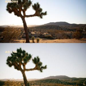 G-Presets - Analog Days – Gói Preset Màu Phim Analog Hoài Cổ Ấn Tượng (xmp/acr, dng) C58L67 19 g presets analog days goi preset mau phim analog hoai co an tuong 6