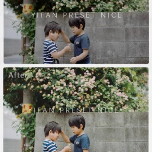 goi preset 20 tone mau phim trung quoc danh cho anh phong canh tre em de thuong 0