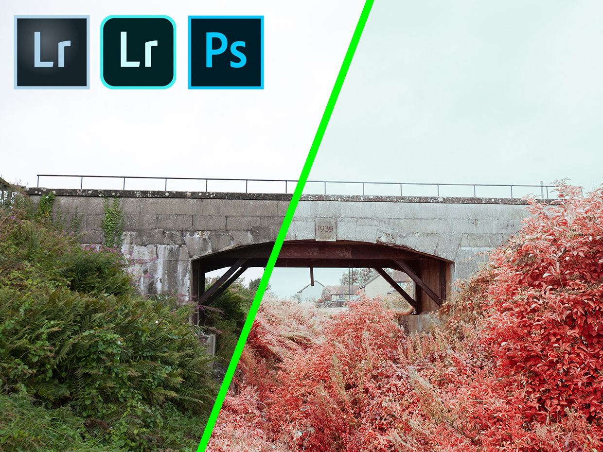 Jamie Windsor Presets 1, 2, 3, 3.1, 3.2, 4, 5, and 6 Bundle – Combo Preset Gồm 6 Bộ Preset Cao Cấp Của Jamie Windsor (xmp/acr) L57O87 3 jamie windsor presets 1 2 3 3 1 3 2 4 5 and 6 bundle combo preset gom 6 bo preset cao cap cua jamie windsor 1