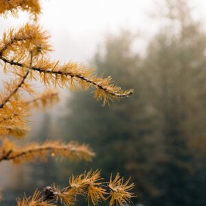 Presets by Frauki Vol II Desktop – Gói Preset Màu Phim Dành Cho Du Lịch Trải Nghiệm (xmp/acr) L61P52 8 presets by frauki vol ii desktop goi preset mau phim danh cho du lich trai nghiem 6