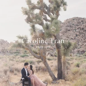 refined-x-caroline-tran-v3