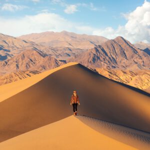 reneeroaming essentials desktop pack goi preset thiet ke cho nhiep anh chan dung phong canh 8