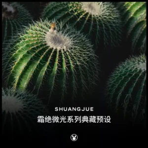 shuangjue faint light goi preset frost glimmer 2024 phim nhat ban 1