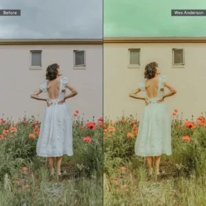 wes anderson inspired lightroom presets pack goi presets phong cach tham my dac trung cua wes anderson 5