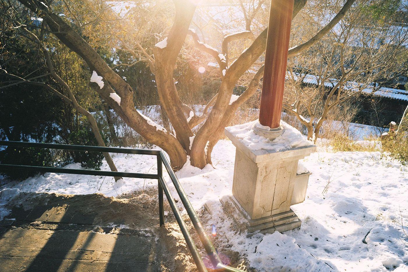 Bộ sưu tập Preset Profiles giả lập Film Fuji / Kodak của Nhiếp ảnh gia Yingzejun 2025 (xmp/acr, costyle) X69Z26 3 3 1