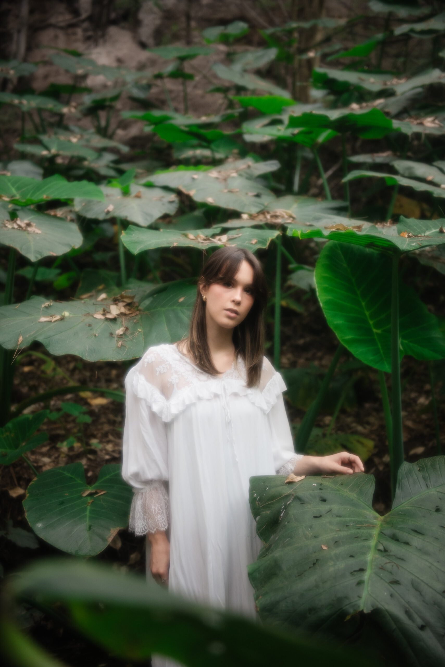 Archipelago Quest 45 - Atelier – Gói Preset Dành Cho Nhiếp Ảnh Chân Dung Studio và Biên Tập (xmp/acr) S64C56 6 archipelago quest 45 atelier goi preset danh cho nhiep anh chan dung studio va bien tap 4 scaled