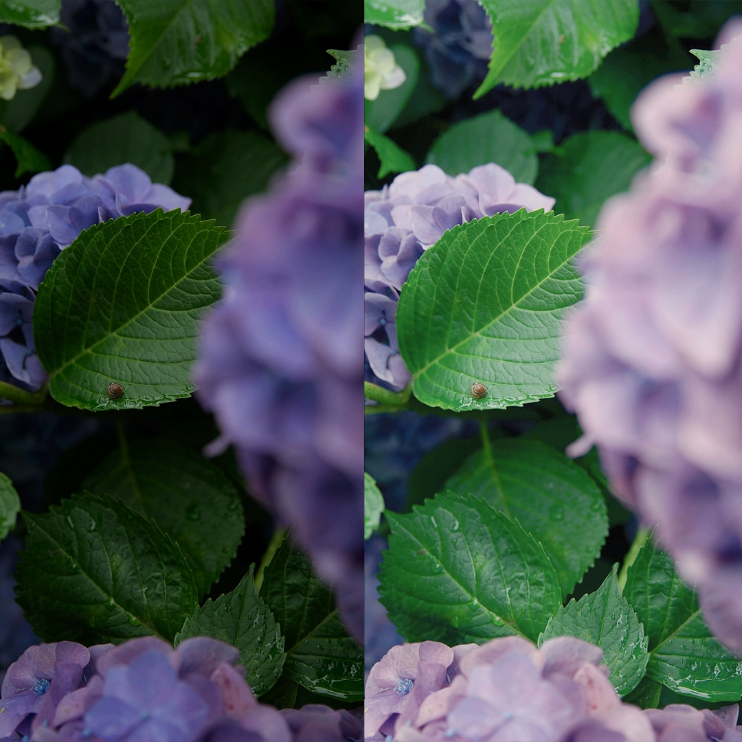 Bộ Preset và LUTs Kodak 5219 Phong Cách Film Nhật Bản 2025 (xmp/acr, cube) C73V06 3 bo preset va luts kodak 5219 phong cach phim dien anh nhat ban 2025 3