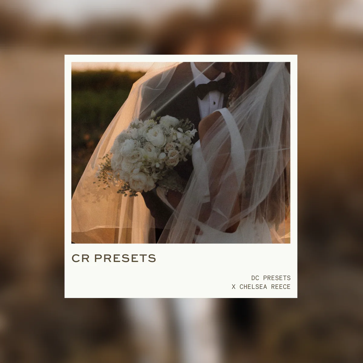 DC PRESETS X CHELSEA REECE – Gói Preset Lightroom Mang Sắc Màu Tuyệt Đẹp Cho Cặp Đôi Thêm Lãng Mạn (xmp/acr) L71A73 1 DC PRESETS X CHELSEA REECE – Gói Preset Lightroom Mang Sắc Màu Tuyệt Đẹp Cho Cặp Đôi Thêm Lãng Mạn (xmp/acr) L71A73